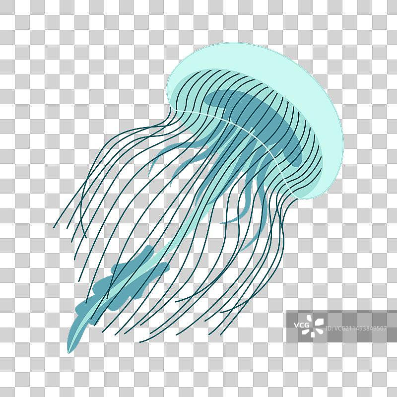 卡通扁平风格水母图片素材