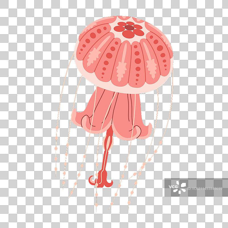 卡通粉色水母扁平风格图片素材