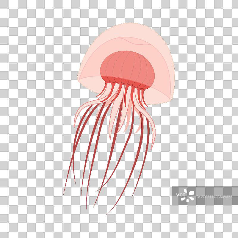 卡通粉色水母扁平风格图片素材