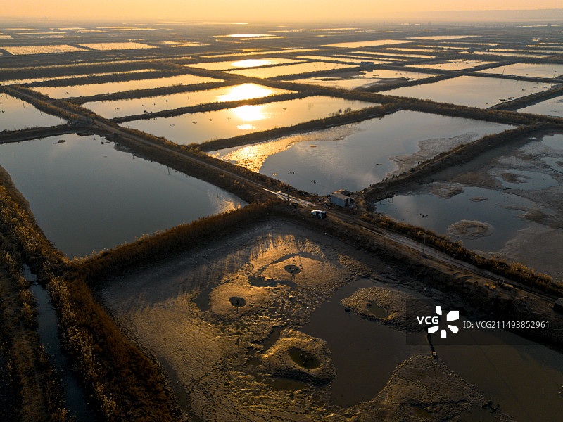 黄河湿地莲菜池 航拍湿地日落 大荔县 渭南市图片素材