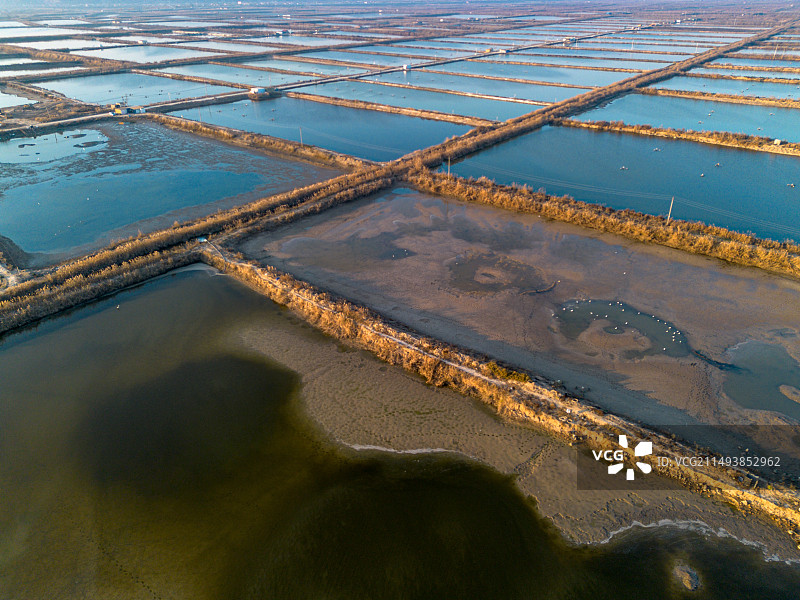 航拍黄河湿地莲菜池 湿地鱼塘 大荔县 渭南市图片素材
