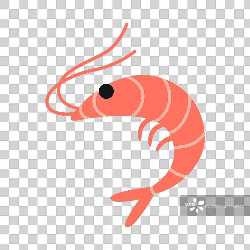 卡通风格带壳虾图片素材