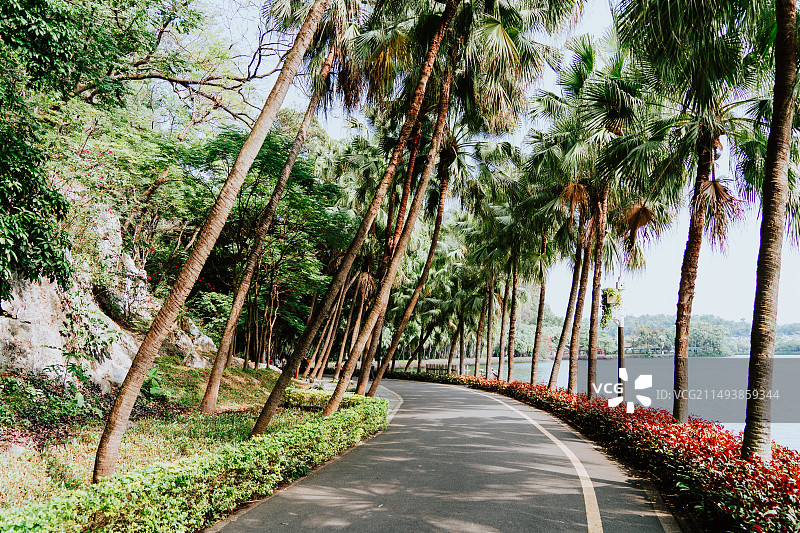 肇庆七星岩图片素材