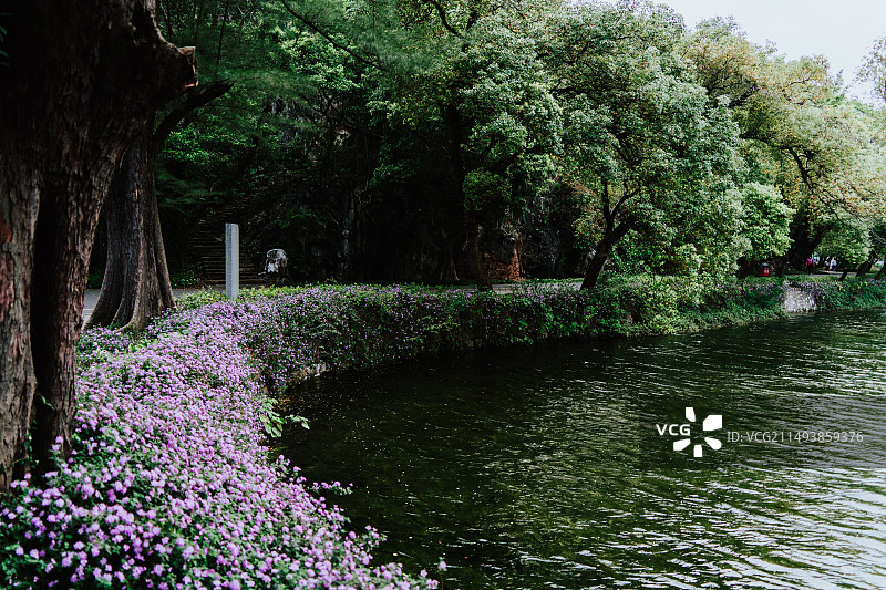 肇庆七星岩图片素材