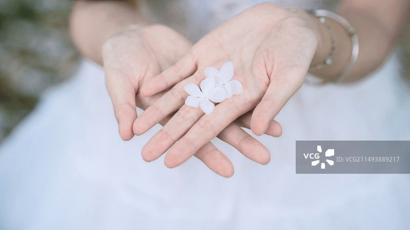 手掌心里的小白花图片素材