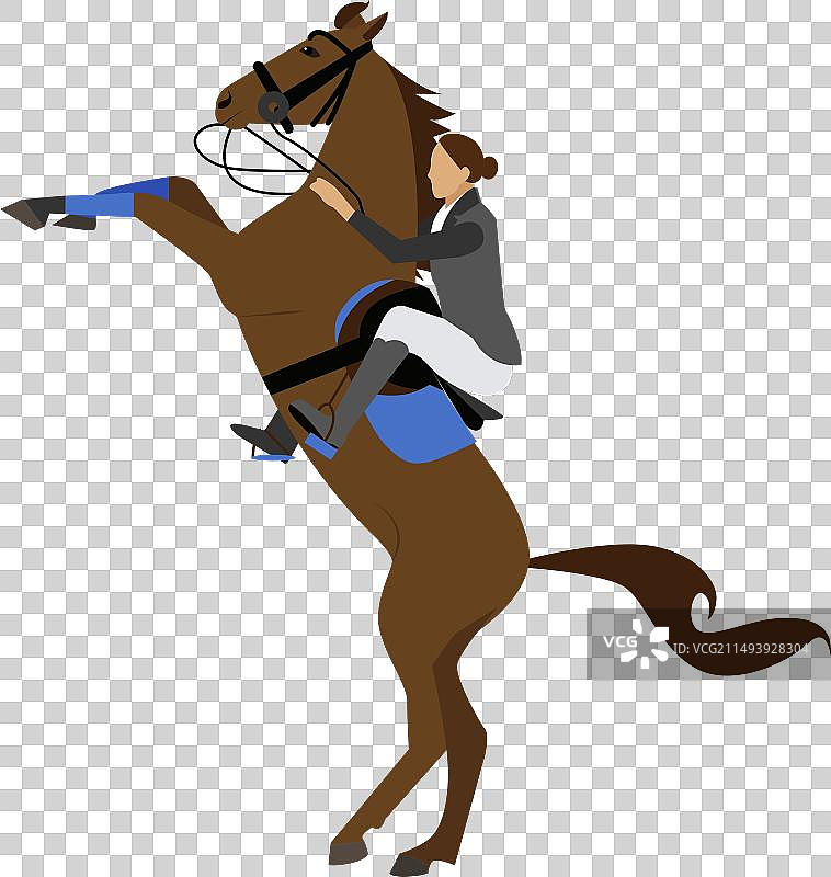 白色背景上骑马的女人图标图片素材