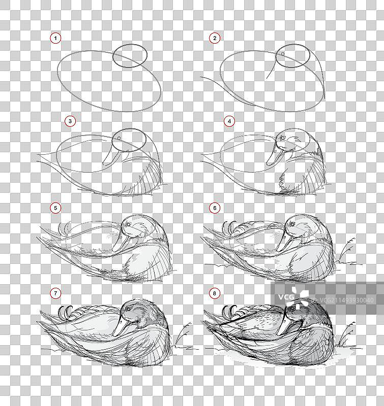 学习写生绘画教程页面图片素材