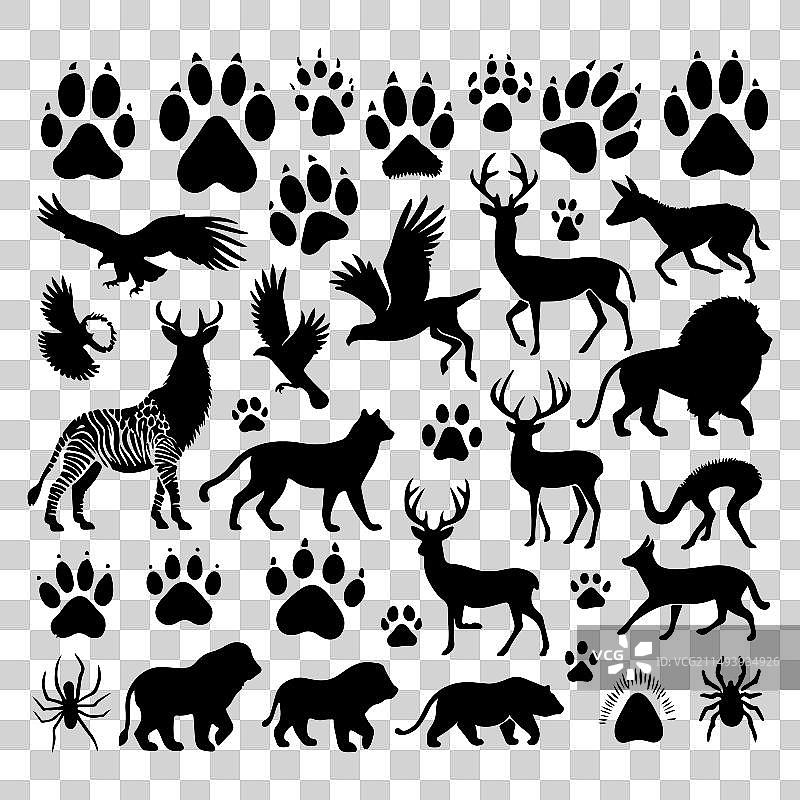 动物及足迹剪影合集图片素材