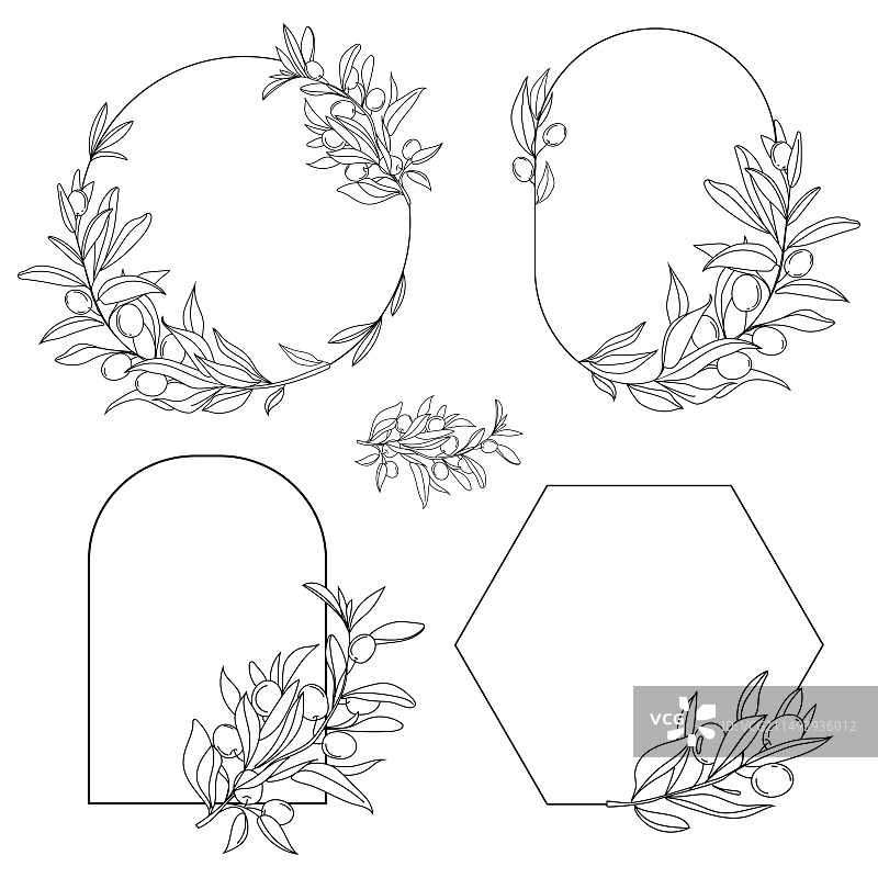 黑色橄榄枝边框素材图片素材