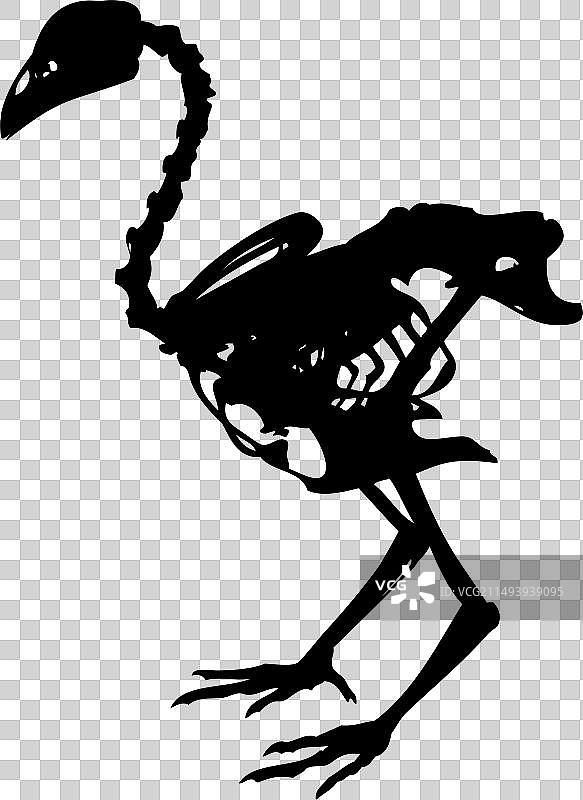 骨骼鸡图片素材