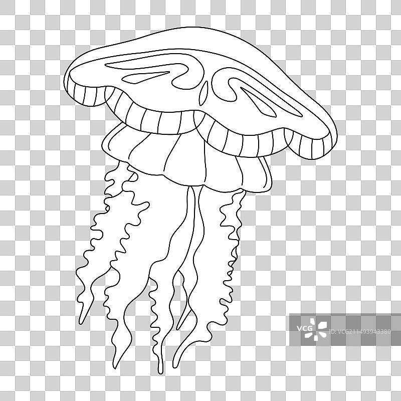 黑白线条水母图片素材