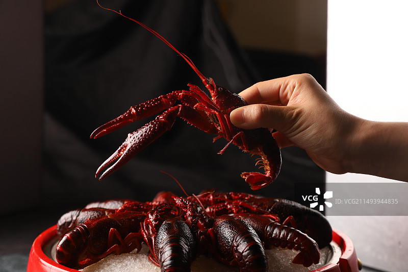 小龙虾生淹小龙虾摆盘龙虾特写红盘子小龙虾冰镇龙虾图片素材