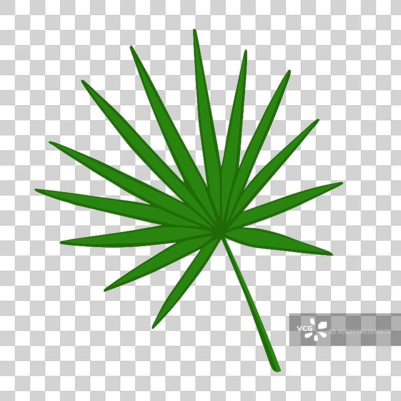 用于印刷背景封面的圆形棕榈叶图片素材