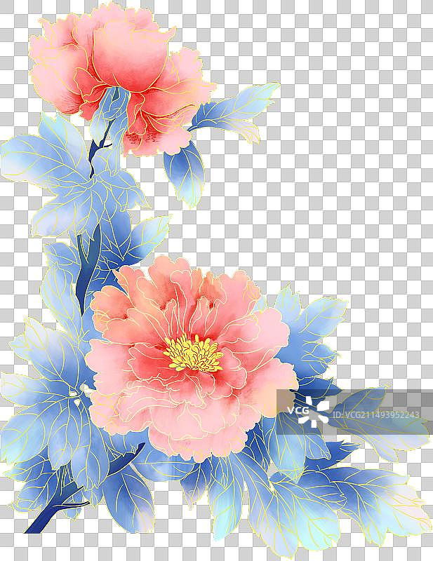 富贵牡丹花图片素材