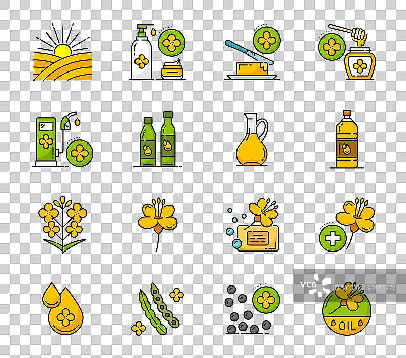 油菜籽油图标：油菜花种子图片素材