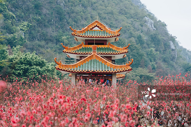肇庆七星岩桃花园图片素材