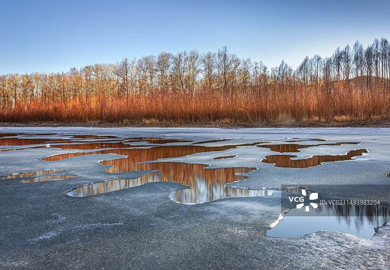 冰河红柳图片素材