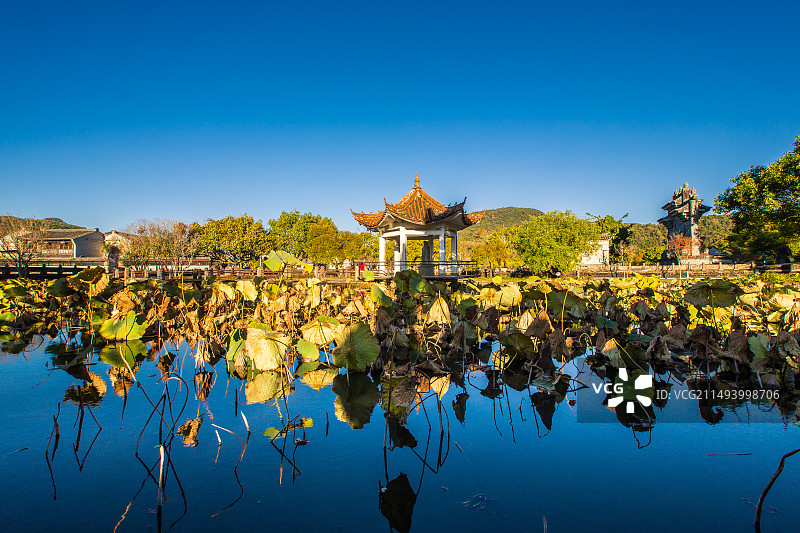 中国云南省保山市腾冲市和顺古镇黄昏荷塘景观图片素材