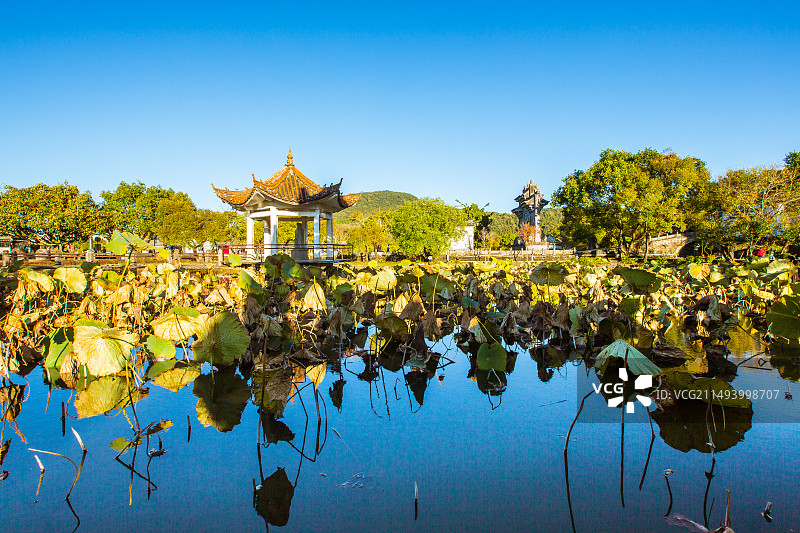 中国云南省保山市腾冲市和顺古镇黄昏荷塘景观图片素材