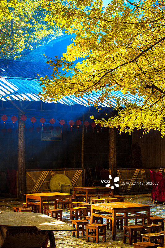 中国云南省保山市腾冲市固东镇银杏村农家小院里的景观图片素材