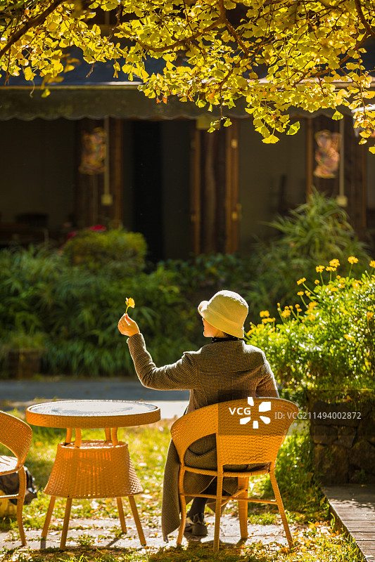 中国云南省保山市腾冲市固东镇银杏村农家小院里的景观图片素材