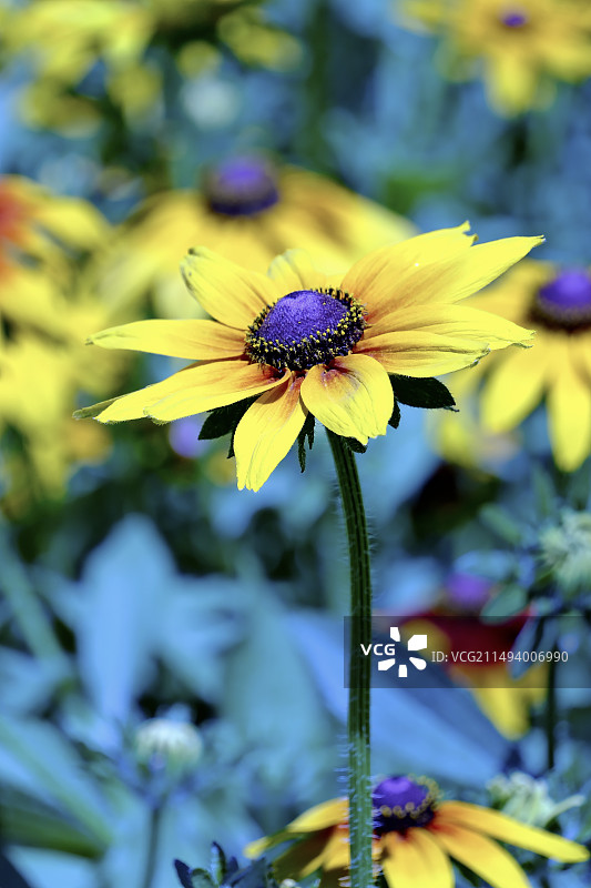 嘉峪关东湖图片素材