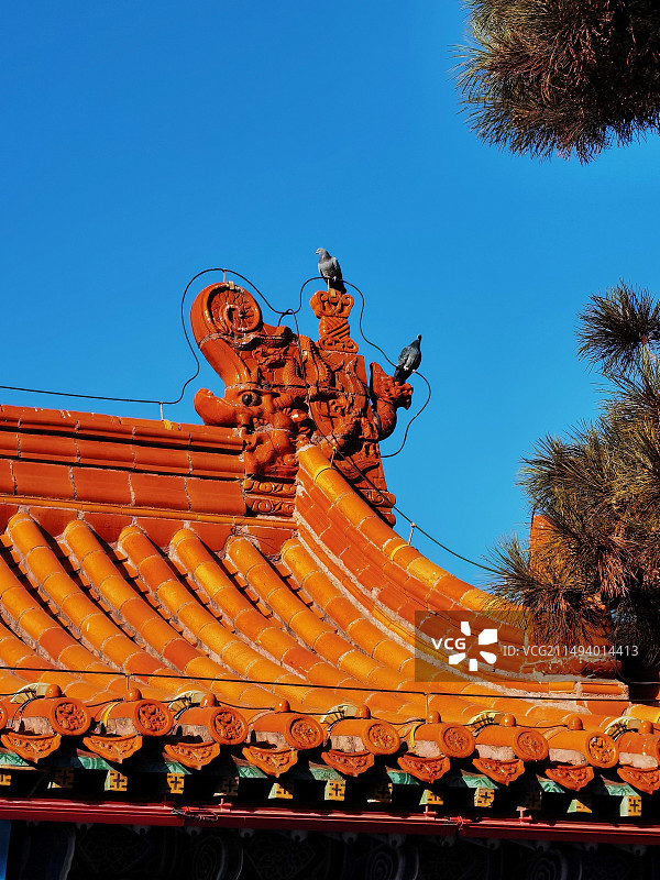 大召历史文化旅游区风光之无量寺古建屋脊神兽（内蒙古呼和浩特市）图片素材