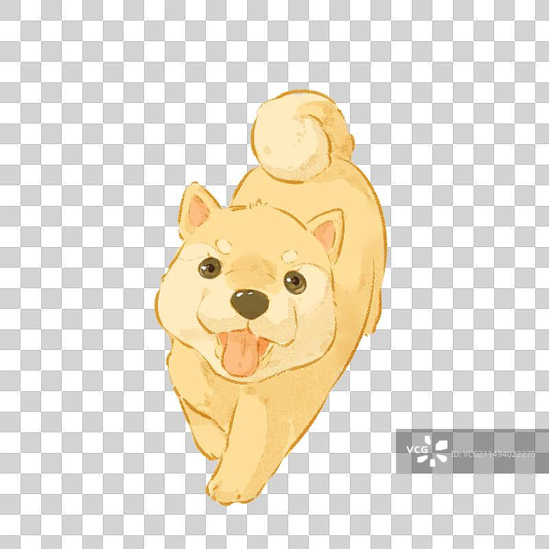 一只可爱的小狗插画图片素材