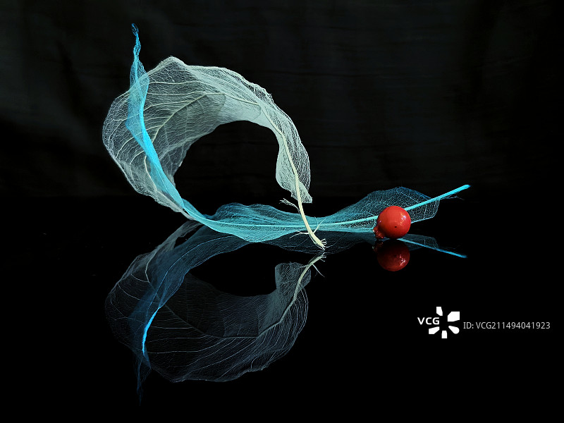 叶脉之美图片素材