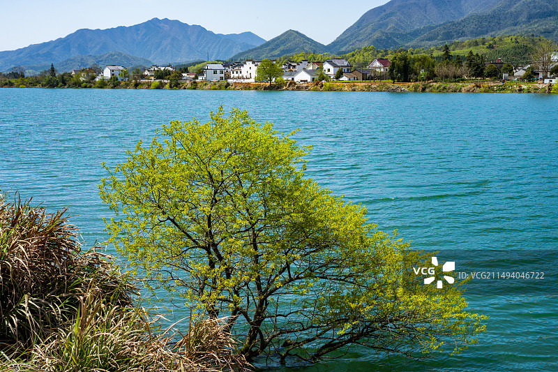 春到徽州，摄于安徽泾县的路上图片素材