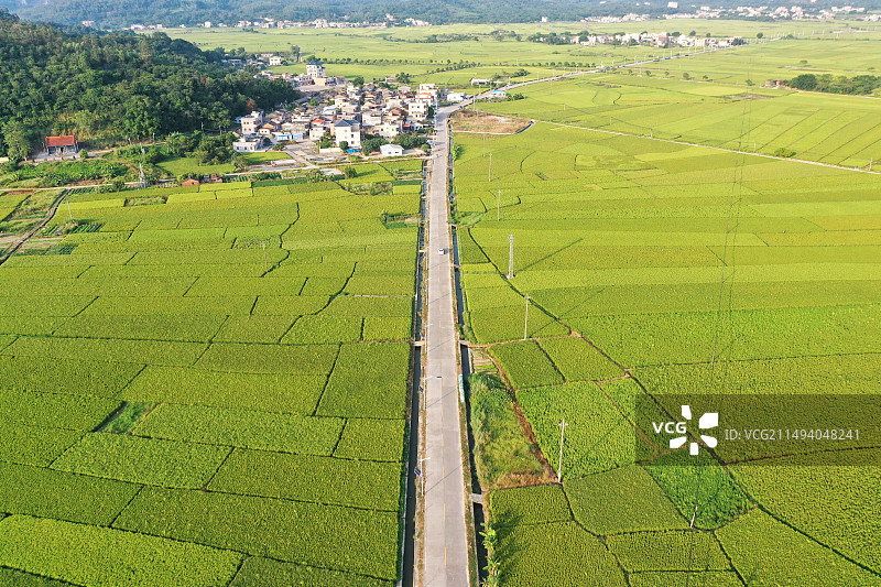 乡村道路图片素材