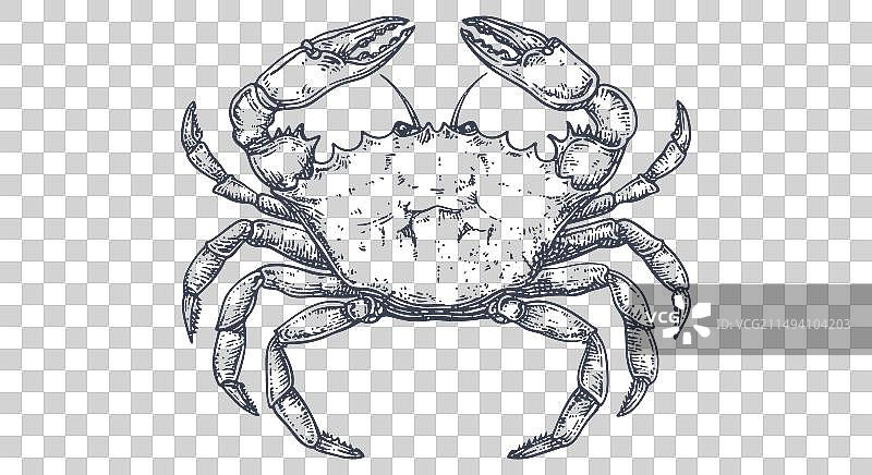 复古手绘螃蟹海鲜版画图片素材