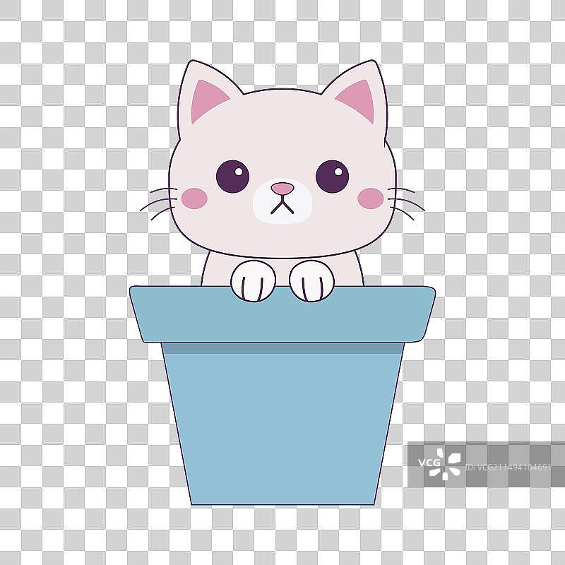 花盆里抱着爪子的白猫图片素材