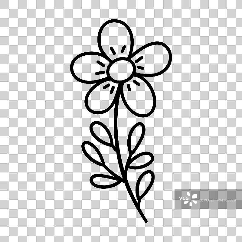 手绘洋甘菊花雏菊涂鸦图片素材