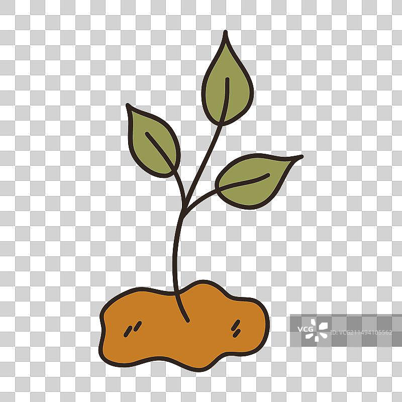 从地下长出的绿叶嫩枝图片素材