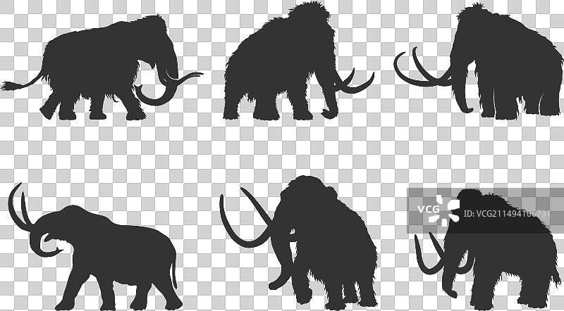 长毛猛犸剪影图片素材