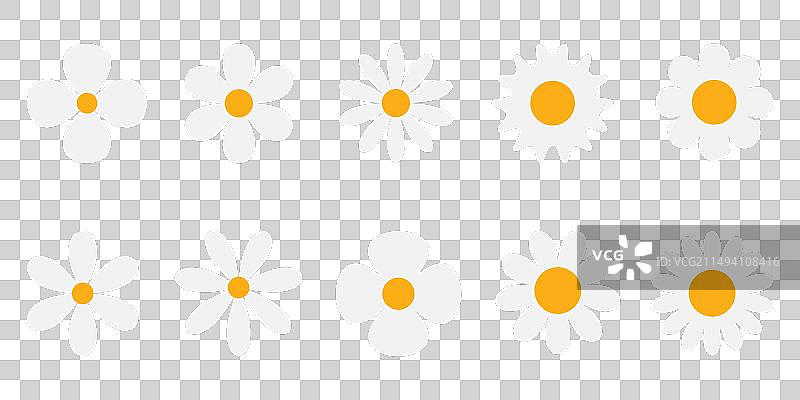 白色雏菊花朵图标合集图片素材