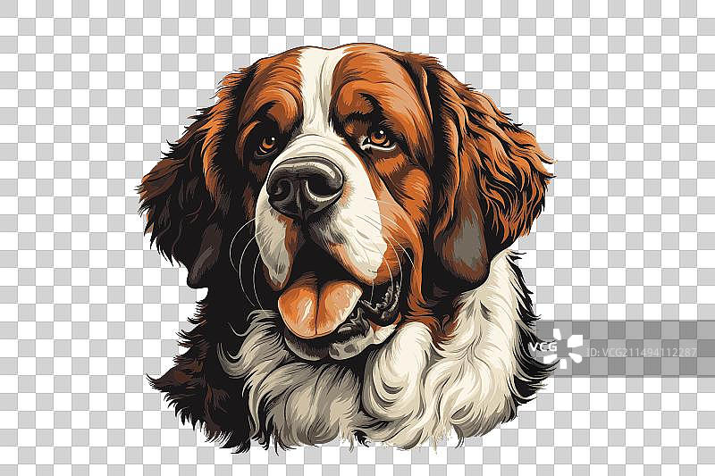 白色背景上的圣伯纳犬扁平风格图案图片素材