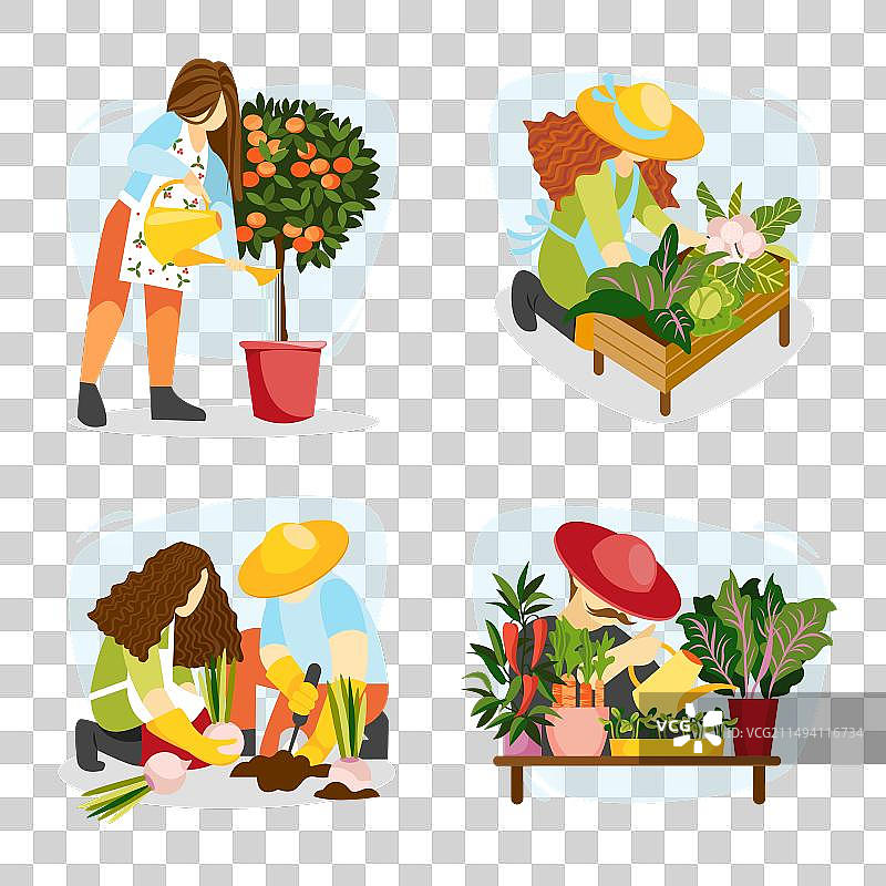 人们种植蔬菜图片素材