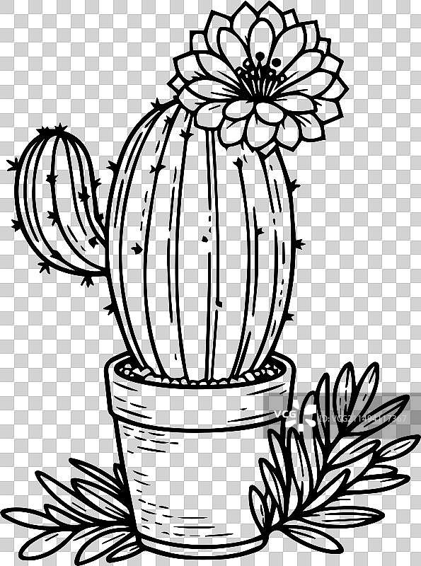 仙人掌黑白填色画稿图片素材