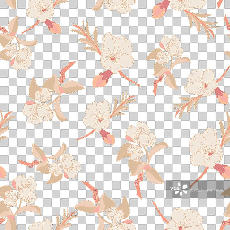 桃子背景上的桃花和叶子图片素材