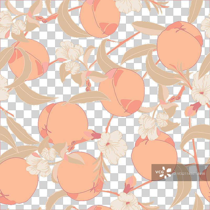 桃子背景上的桃花和叶子图片素材