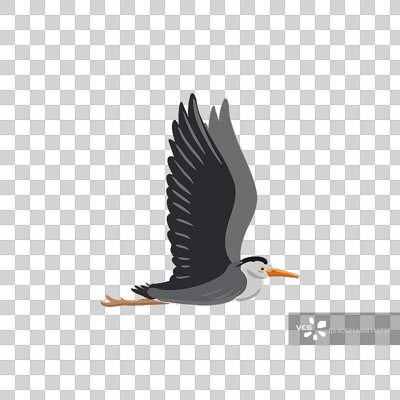 苍鹭绘画图片素材