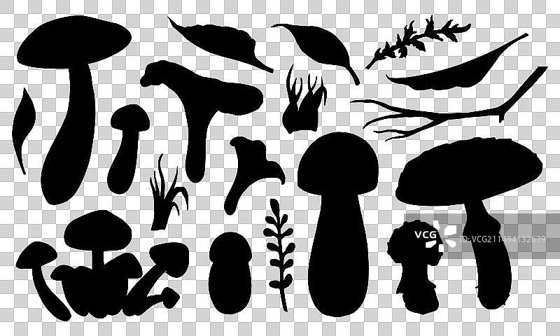 手绘蘑菇轮廓合集图片素材