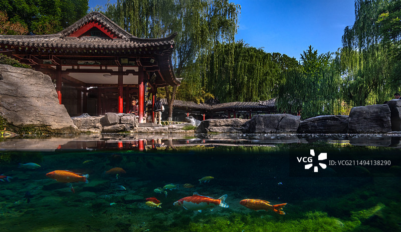 “水上谓之济南，水下谓之泉城”系列之五龙潭图片素材