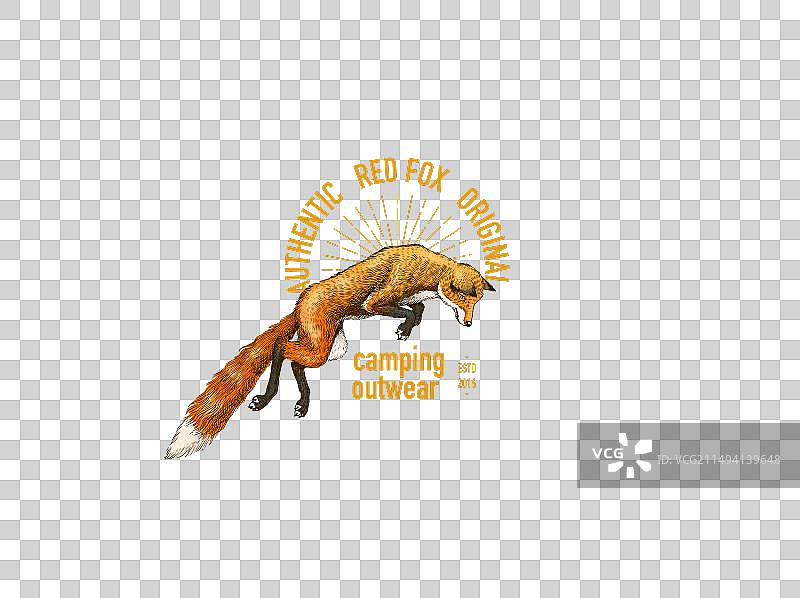 红色野狐狸logo或徽章森林动物图片素材