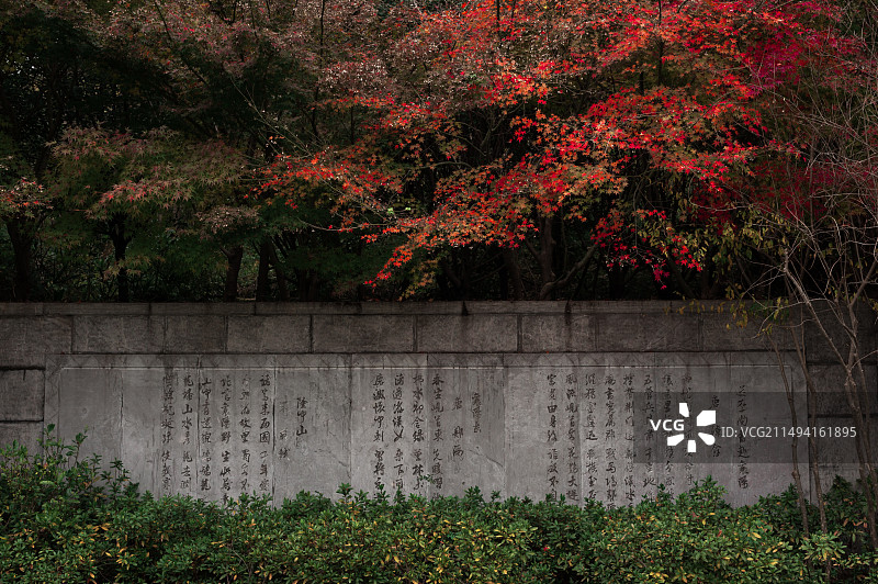 习家池一角图片素材