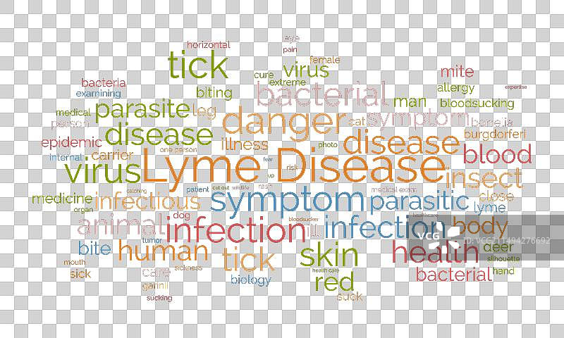 莱姆病词云模板图片素材