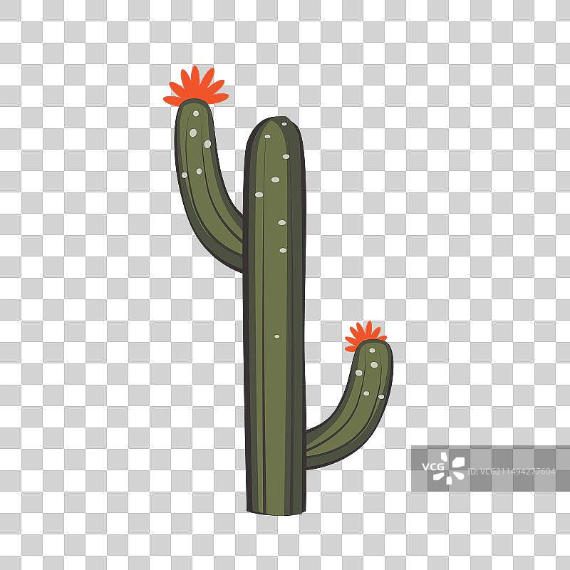 仙人掌树图片图片素材