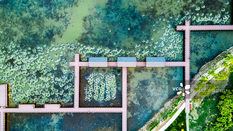 天津东丽湖的绿意图片素材